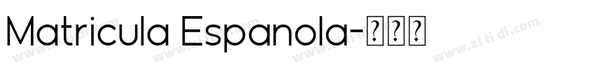 Matricula Espanola字体转换